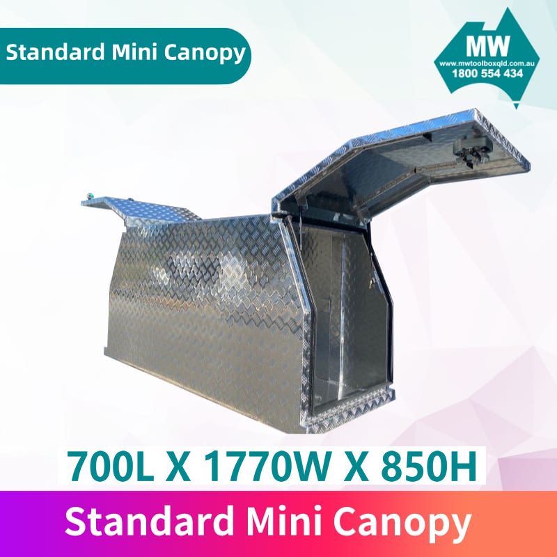 Standard-mini-canopy-2