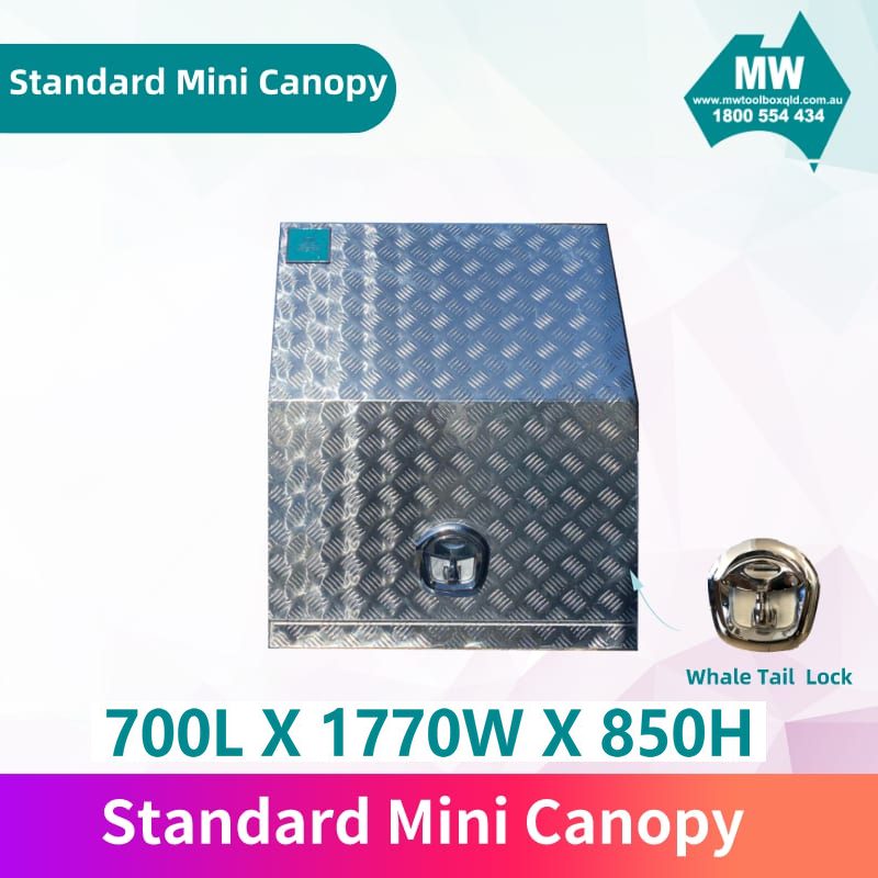 Standard-mini-canopy-4